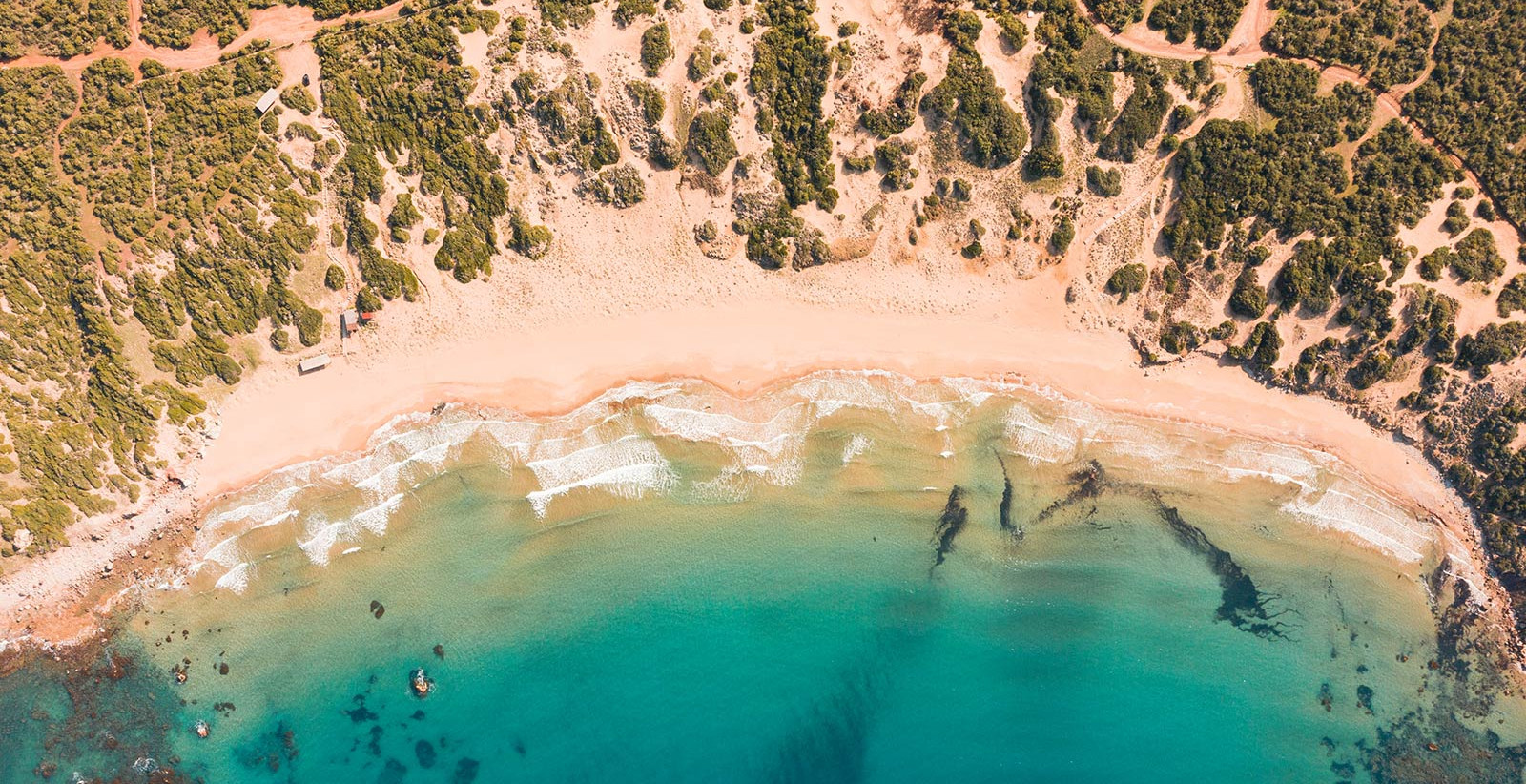 Lara Beach: Where Sea Life Begins