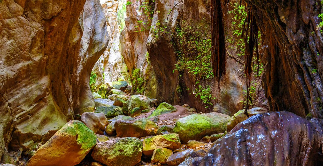 Avakas Gorge Trail: Nature’s Masterpiece in the Heart of Akamas