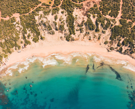 Lara Beach: Where Sea Life Begins