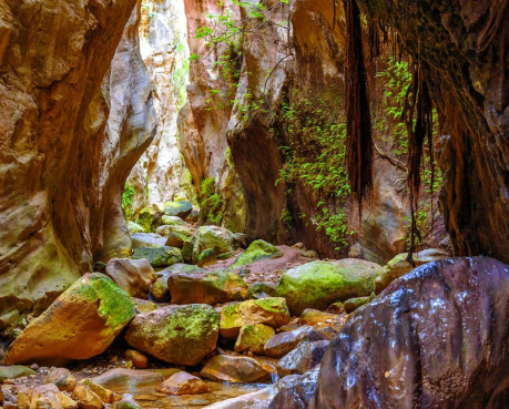 Avakas Gorge Trail: Nature’s Masterpiece in the Heart of Akamas