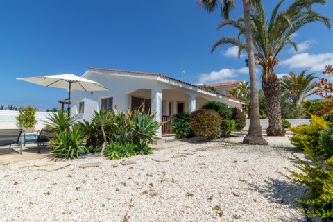 A charming single-story villa surrounded by lush tropical gardens features a covered veranda, sun terrace, and private swimming pool. Framed by tall palm trees and flowering plants, the peaceful outdoor setting offers a relaxing retreat for a Cyprus holiday.
