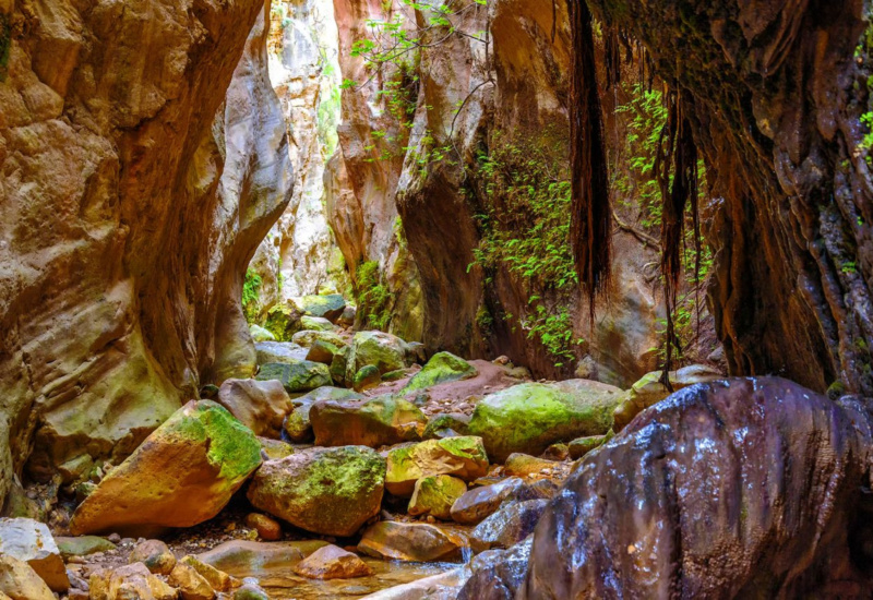 Lush green vegetation and rocky path along the Avakas Gorge trail on the Akamas peninsula, Cyprus.