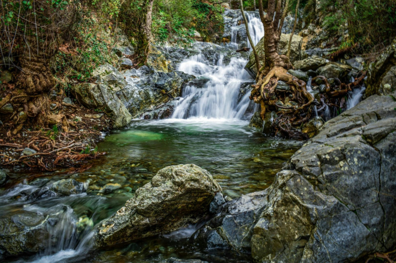 Caledonia Waterfall cascading over mossy rocks into a pool surrounded by dense green forest in the Troodos Mountains of Cyprus.